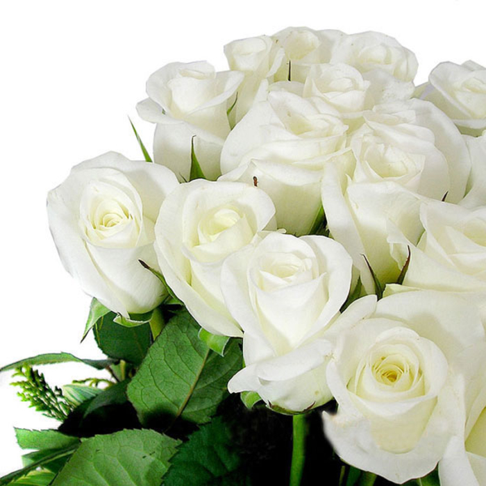 화이트꽃바구니